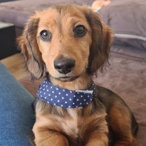 Meet your Posher, Kelly